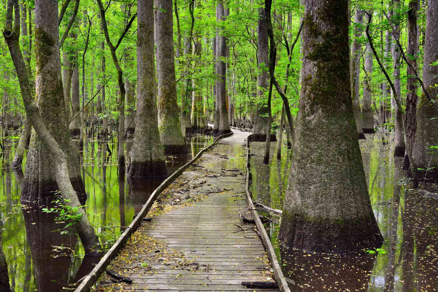 Environmental protection and cleanup