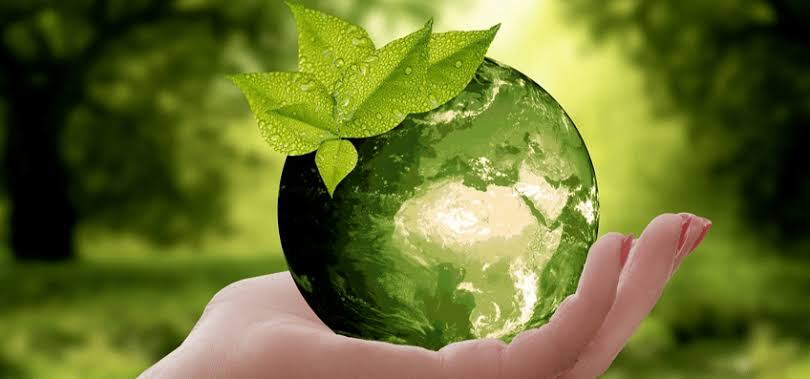 Hand holding the earth with green leaves