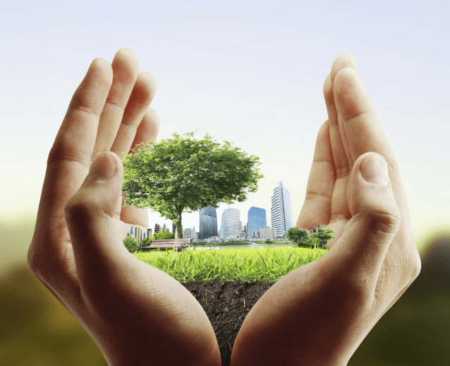 Hands protecting a tree, grass, and city environment