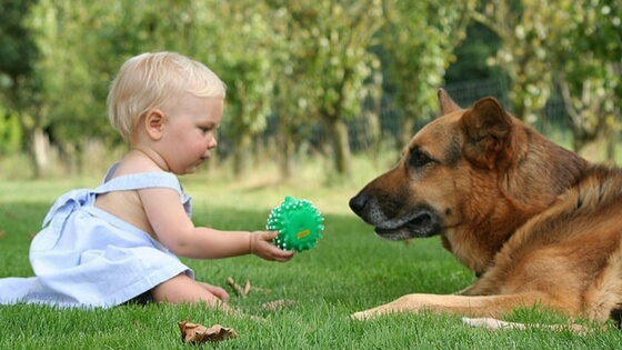 Children and pets representing household product safety